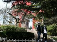 不平凡的2020⑦：记录我们的希望