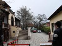 不平凡的2020⑦：记录我们的希望