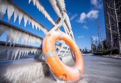 冻透了！胶州湾沿岸成“魔幻世界”
