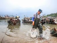 不平凡的2020⑰：记录成长的蝶变