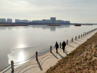 冬韵尽显，白沙河开启“冰封”模式