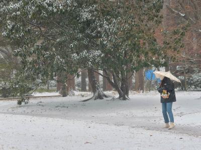 冷冷冷！青岛6日最低气温-12℃，山东这座城市最低气温-20℃
