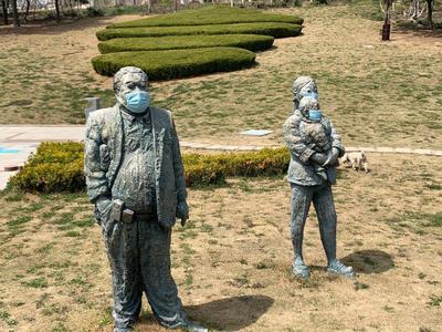 不平凡的2020⑱：拍摄平凡而闪光的时刻