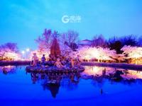 不平凡的2020㊵：发现美，记录美