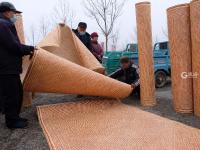 除了红席还有啥？一起来泊里大集看看吧