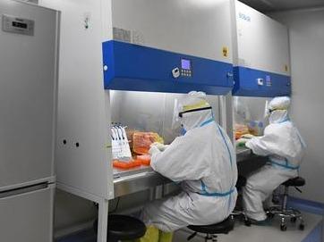河北邢台新冠病毒基因测序结果公布：与欧洲输入病毒高度同源