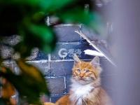  发现生活的小情趣|美图周赏③