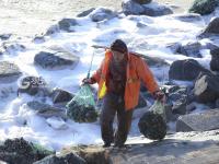 渔民跳入冰海捕捞 讨海背后不为人知的辛苦