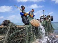 不平凡的2020㉑：上天下海，记录精彩