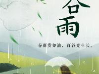 存了一年的节气海报 终于可以一下看完了