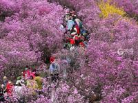 不平凡的2020㊶：光映时代百态