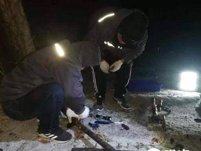 深夜供暖企业电缆被烧，仅用3个小时恢复供暖