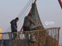 渔民跳入冰海捕捞 讨海背后不为人知的辛苦