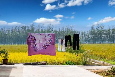 乘风破浪会有时——12月镜赛作品欣赏