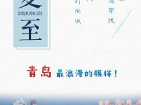 存了一年的节气海报 终于可以一下看完了