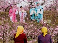 不平凡的2020㉜：疫情下我们依然热爱生活