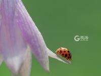 不平凡的2020㉗：我热爱的生活在镜头里