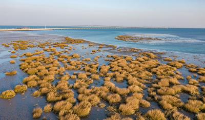  发现生活的小情趣|美图周赏③