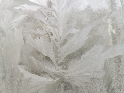 天冷不愿出门？趴窗前看冰花吧