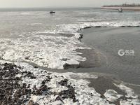 青岛今天有多冷？连大海都结冰了！