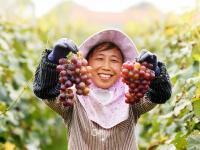 不平凡的2020㊹：用影像留住时光