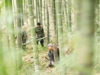 贵州赤水：竹产业助增收