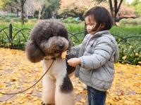 不平凡的2020㊷：作为生活方式的摄影