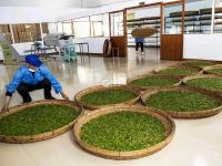 不平凡的2020㉑：上天下海，记录精彩