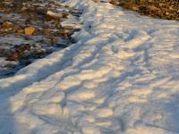 不光结冰，大海都被逼得冒烟了