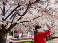 不平凡的2020㉜：疫情下我们依然热爱生活