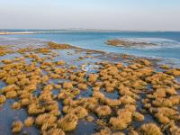  发现生活的小情趣|美图周赏③