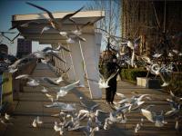 不平凡的2020㊵：发现美，记录美