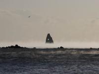 不光结冰，大海都被逼得冒烟了