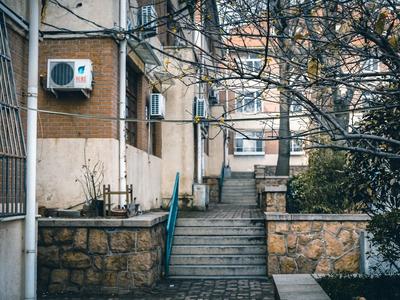 老城里腊梅满院飘香，不信你闻