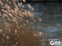 天境之湖！青岛中山公园这里美成画