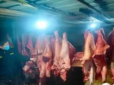保障市民舌尖上的安全！青岛一私屠滥宰窝点被捣毁