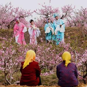 不平凡的2020㉜：疫情下我们依然热爱生活