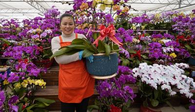  发现生活的小情趣|美图周赏③