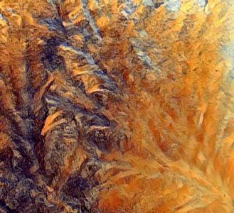 一窗一世界，梦幻冰窗花悄然绽放