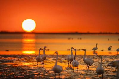 用镜头表达生活 | 美图周赏②