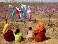 不平凡的2020⑳：记录生活的点滴