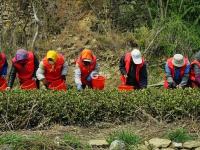 不平凡的2020⑳：记录生活的点滴