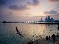 不平凡的2020㊵：发现美，记录美