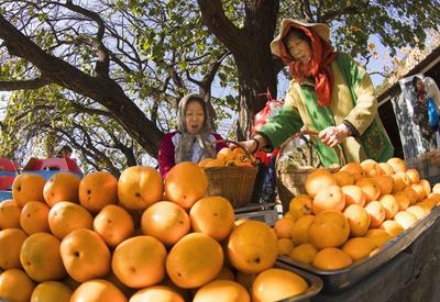 不平凡的2020㉖：我在城市中发现美