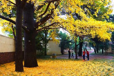 不平凡的2020㉚：城市街拍充满市井味道