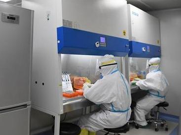 黑龙江绥化新增20例无症状感染者，均在望奎县