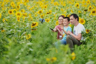 不平凡的2020㉜：疫情下我们依然热爱生活