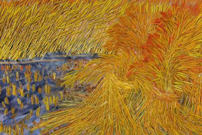 厉害了！麦秆作画也能描绘大千世界？