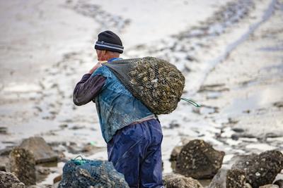 冰雪消融，这帮赶海人又闲不住了