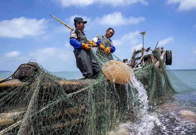 不平凡的2020㉑：上天下海，记录精彩